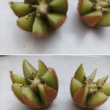 Crespo Fruits kiwi